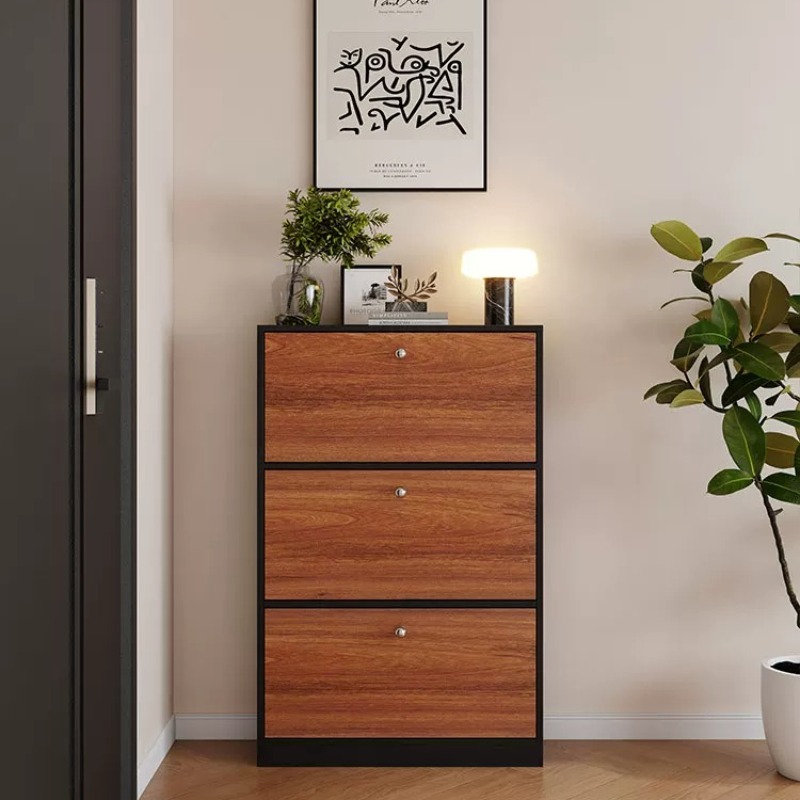 Shoe Rack Cabinet Narrow Entryway - Armário de Sapatos Preto Pequeno com